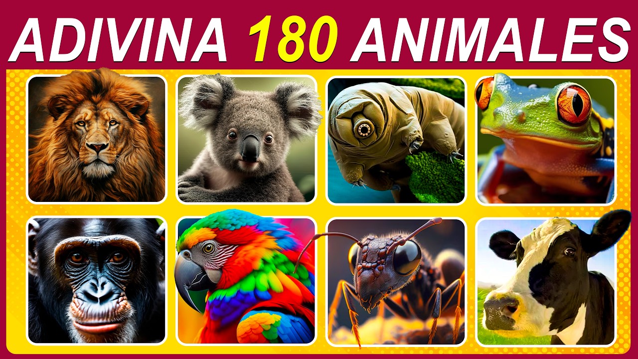 🔍 ¡Adivina los 180 Animales! 🦁🌍 Fácil, Medio, Difícil, Imposible 🧠