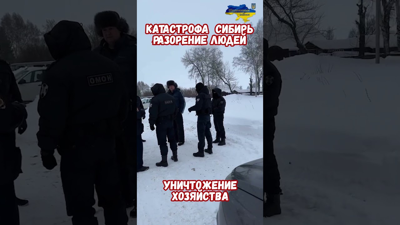 Массовое уничтожение скота - заговор против частников? #беспредел #сибирь #фермеры #животные