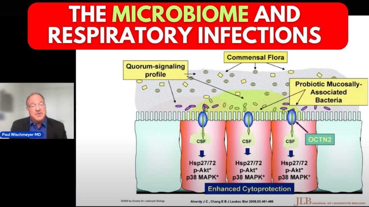 Doctor Reveals Latest Research on Gut Health and Common Infections Including COVID-19 & C Difficile