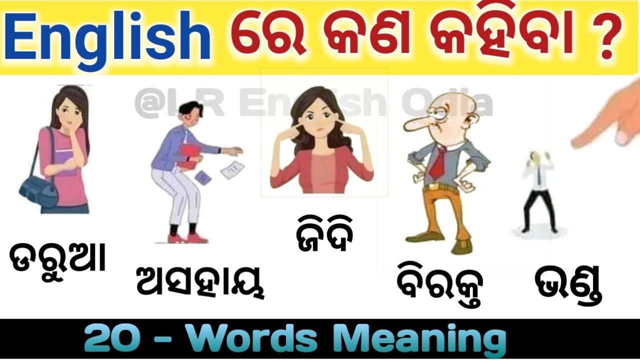 Odia to English dictionary || Word Meaning Odia with Pictures || Learn english easily through Odia