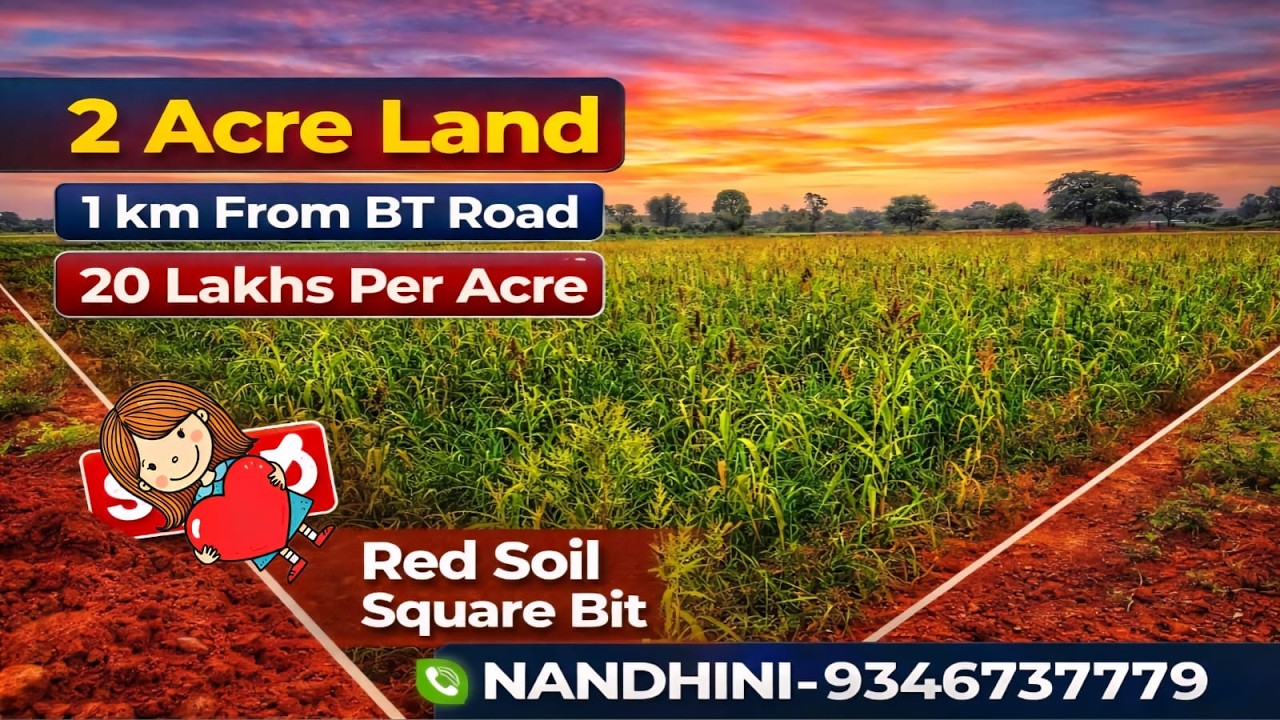 20 lakh per Acre Only||Nandini:9346737779||Agriculture land sale||2 Acres #farming #agriculture #yt