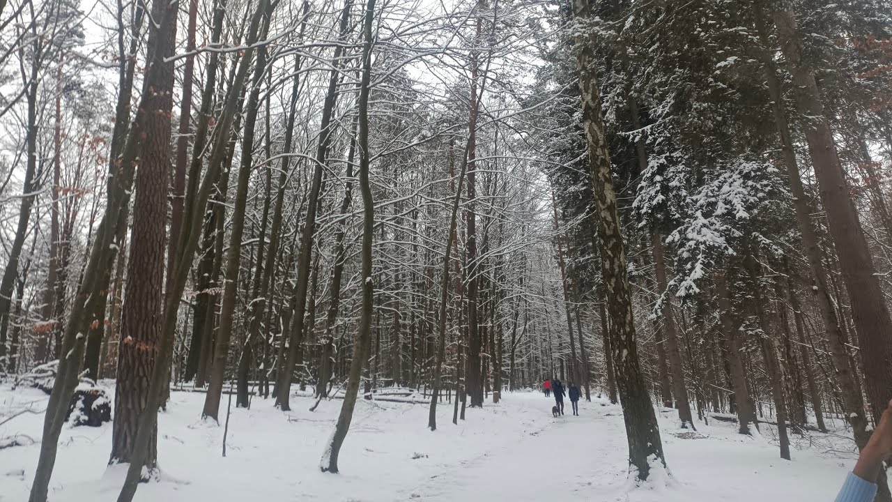Hiking at Bad Schandau | Idyllic sights in snow | Spa Town in Germany