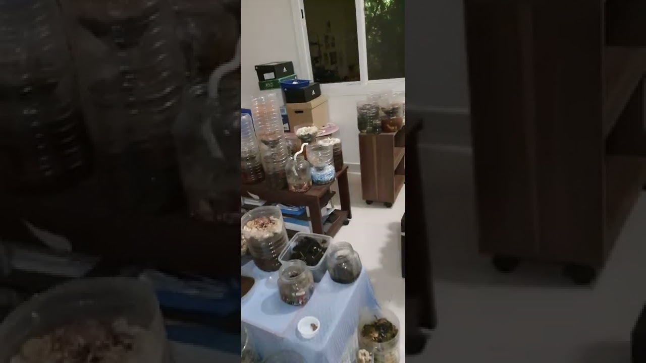 '['&plusmn;читч(та2019-2786)!']'