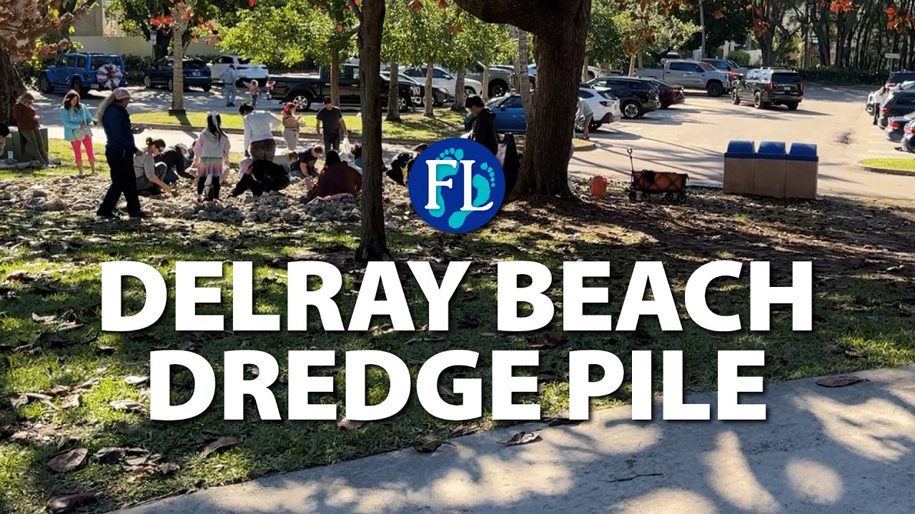 Shelling Delray Beach Dredge Pile