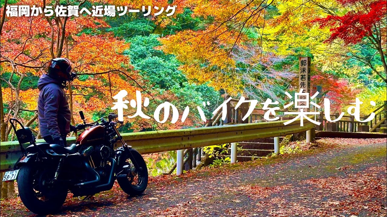 【福岡ツーリング】今回は近場の紅葉🍁を見に秋月城跡へ😊帰りに佐賀県の穴場紅葉スポットへ