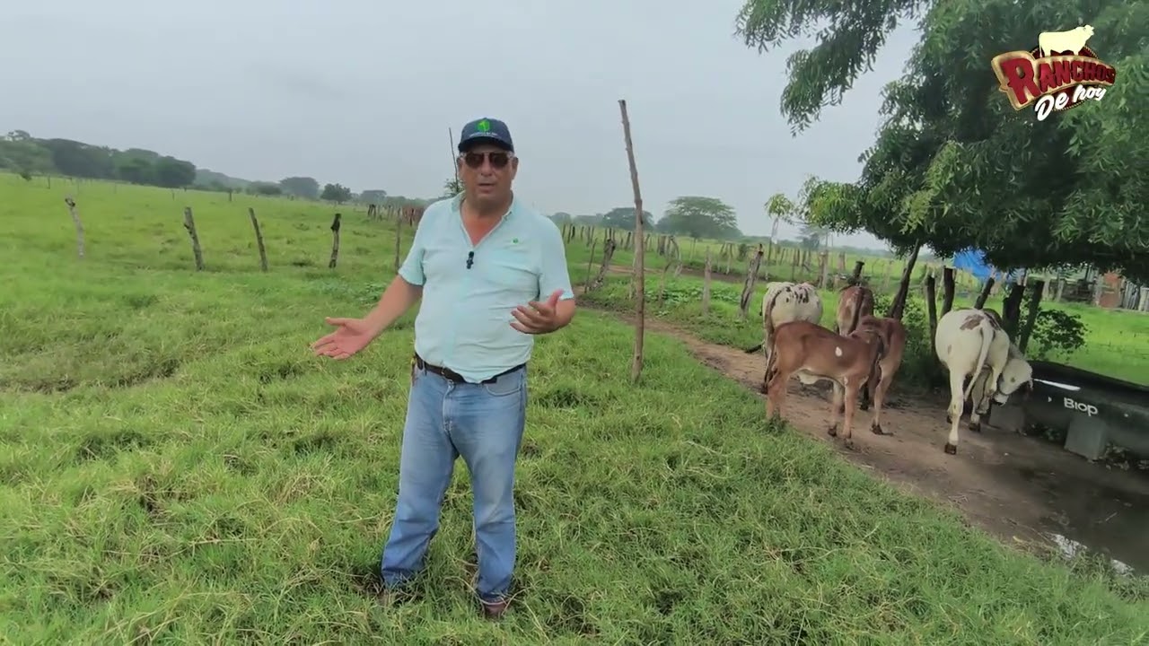 Gyr Alta Genética/Álvaro Abascal/Santillana del Mar/Arriaga,Chiapas