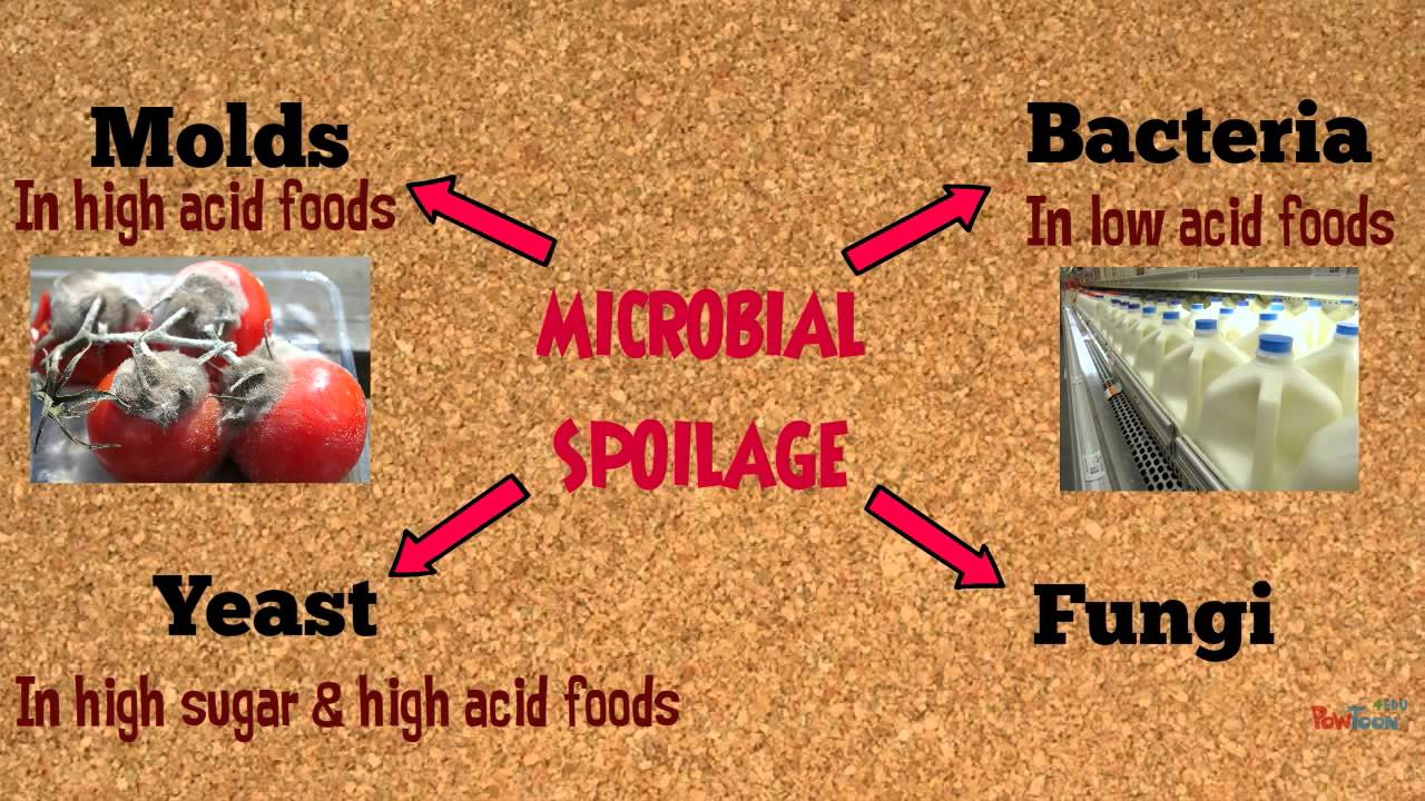 Food Spoilage Microorganisms