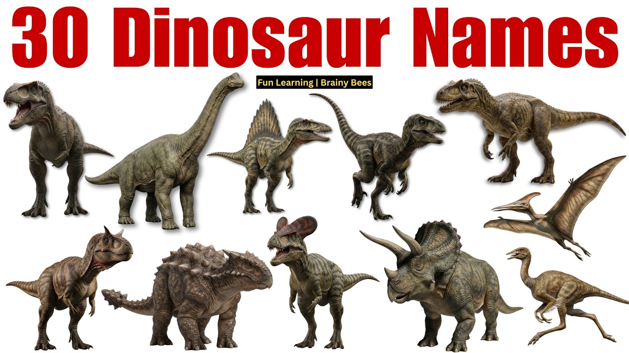 Learn 30 Dinosaur Names & Vocabulary for Kids 🦕 | Fun Educational Dino Adventure