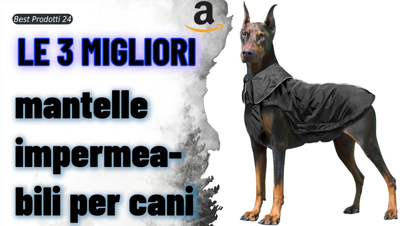 ➤ Le 3 migliori mantelle impermeabili per cani ✓