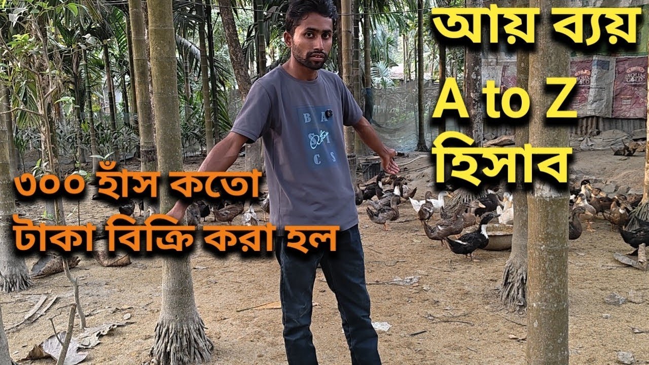 ৩০০ হাঁস কতো টাকা বিক্রি করা হল আয় ব্যয় A to Z হিসাব || Duck Farming Business Plan In Assam || 