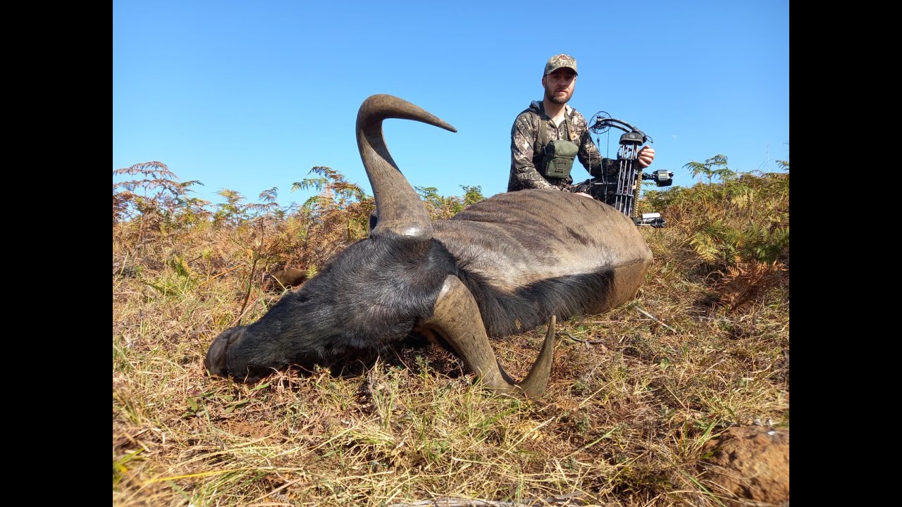 Bogenjagd in Afrika - Carlo Engelbrecht Safaris - Teil 1