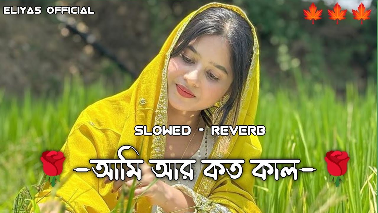 আমি আর কতো কাল | Ami Ar Koto Kal | Bangla Lofi Music 2025 | Chill Vibe | ELIYAS MUSIC