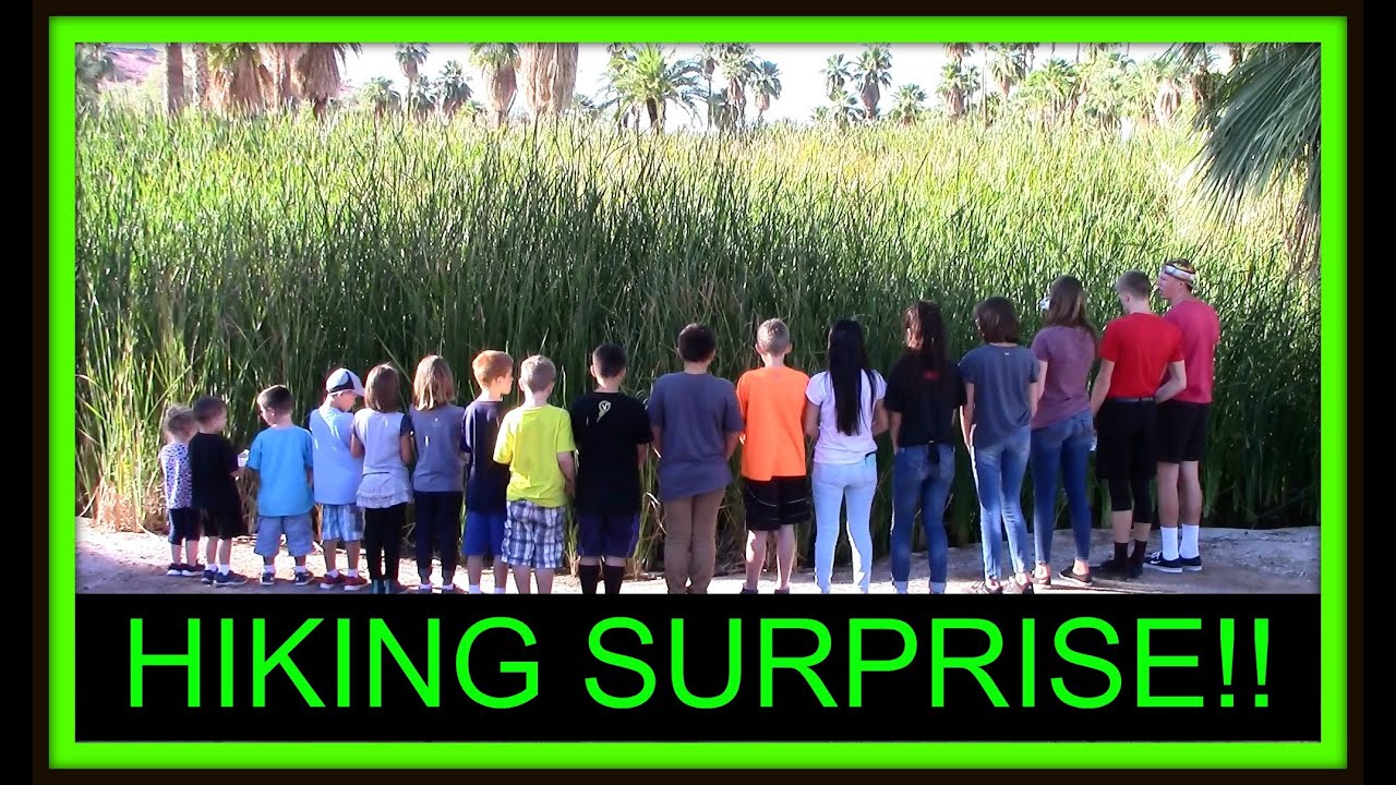 HIKING SURPRISE!