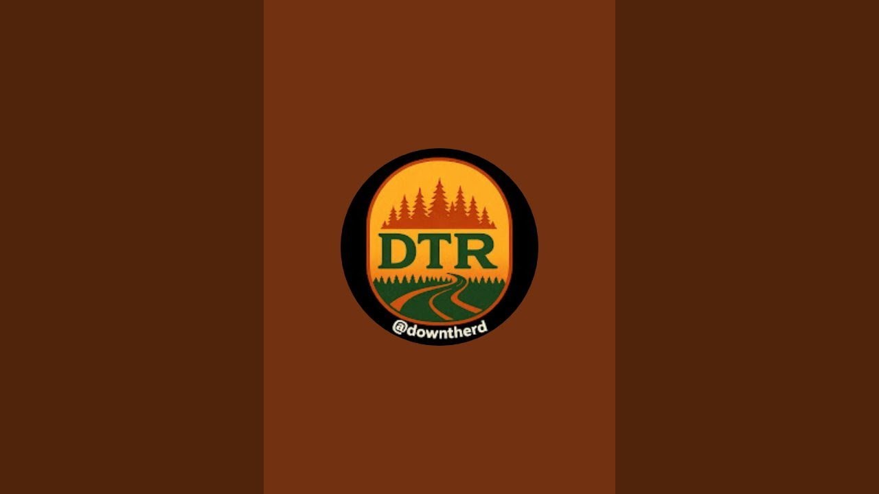 Jamie (DTR) Live