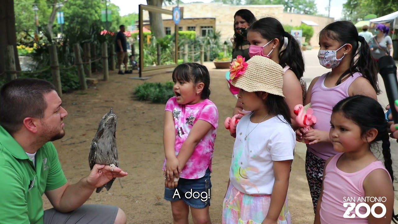 Can Zoo Answer That? Episode 2