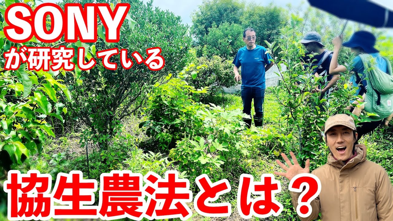果樹と野菜で生態系を創る！協生農法とは？【視察レポート】