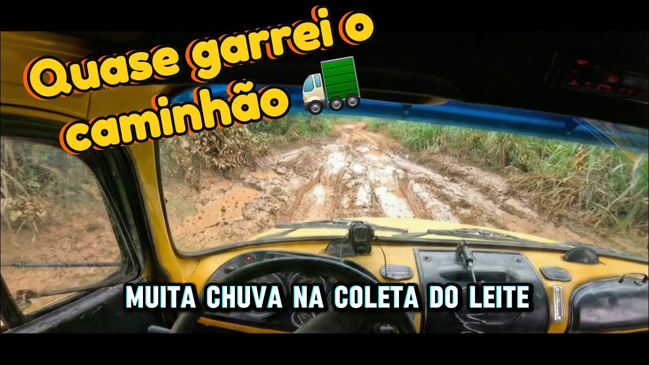 Dia a dia na coleta do leite com muita chuva 🚛🐄
