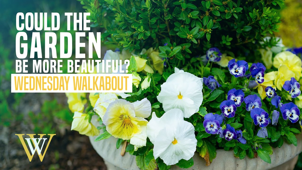 Could The Front Spring Garden Get Any More Beautiful?
