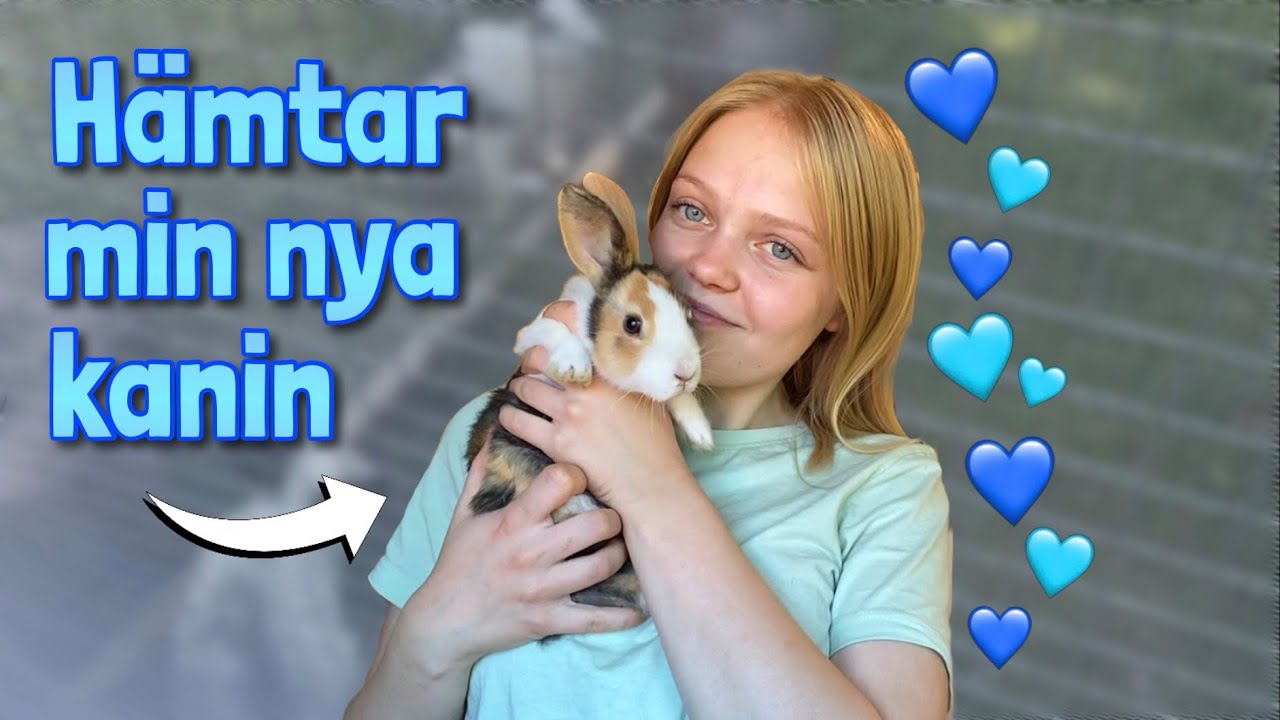 Hämtar min nya kanin!!