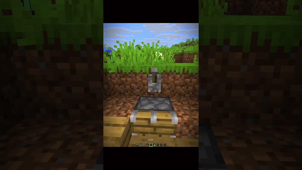 Minecraft Legal X-ray Glitch