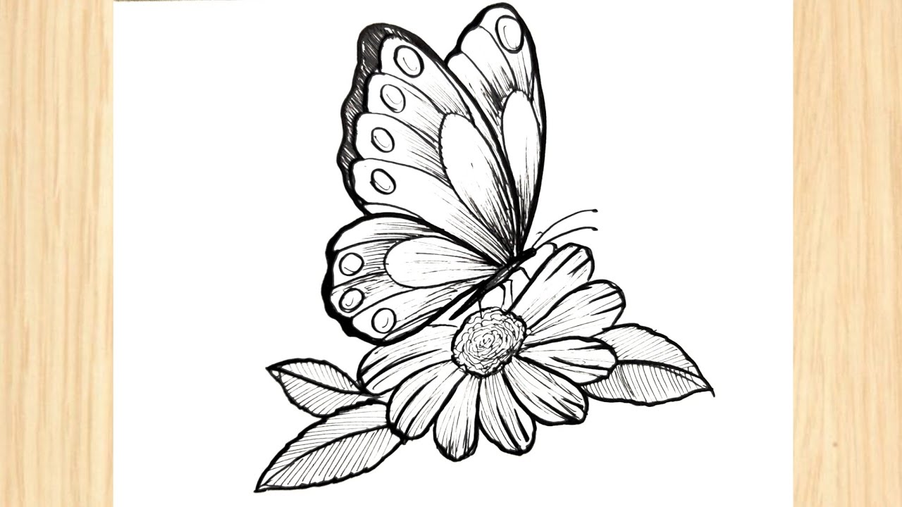 How to draw a butterfly on a flower || Easy butterfly drawing tutorial