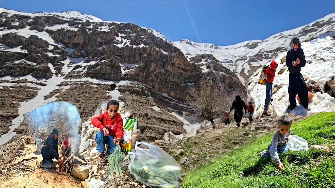 How Ali Survives in Snowy Zagros Mountains Living Real Life in the Mountains Collecting Wild Herbs