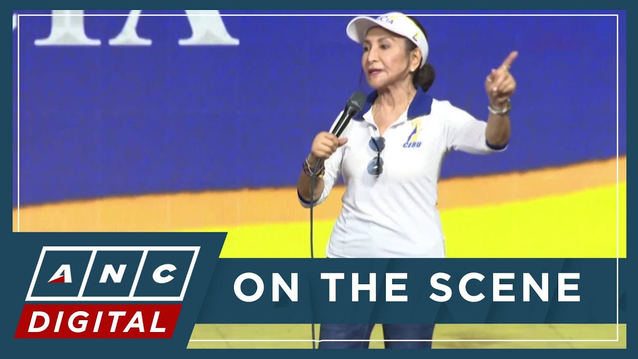 'We have people, not trolls': Cebu Governor Garcia backs Alyansa slate, assures Cebu win | ANC