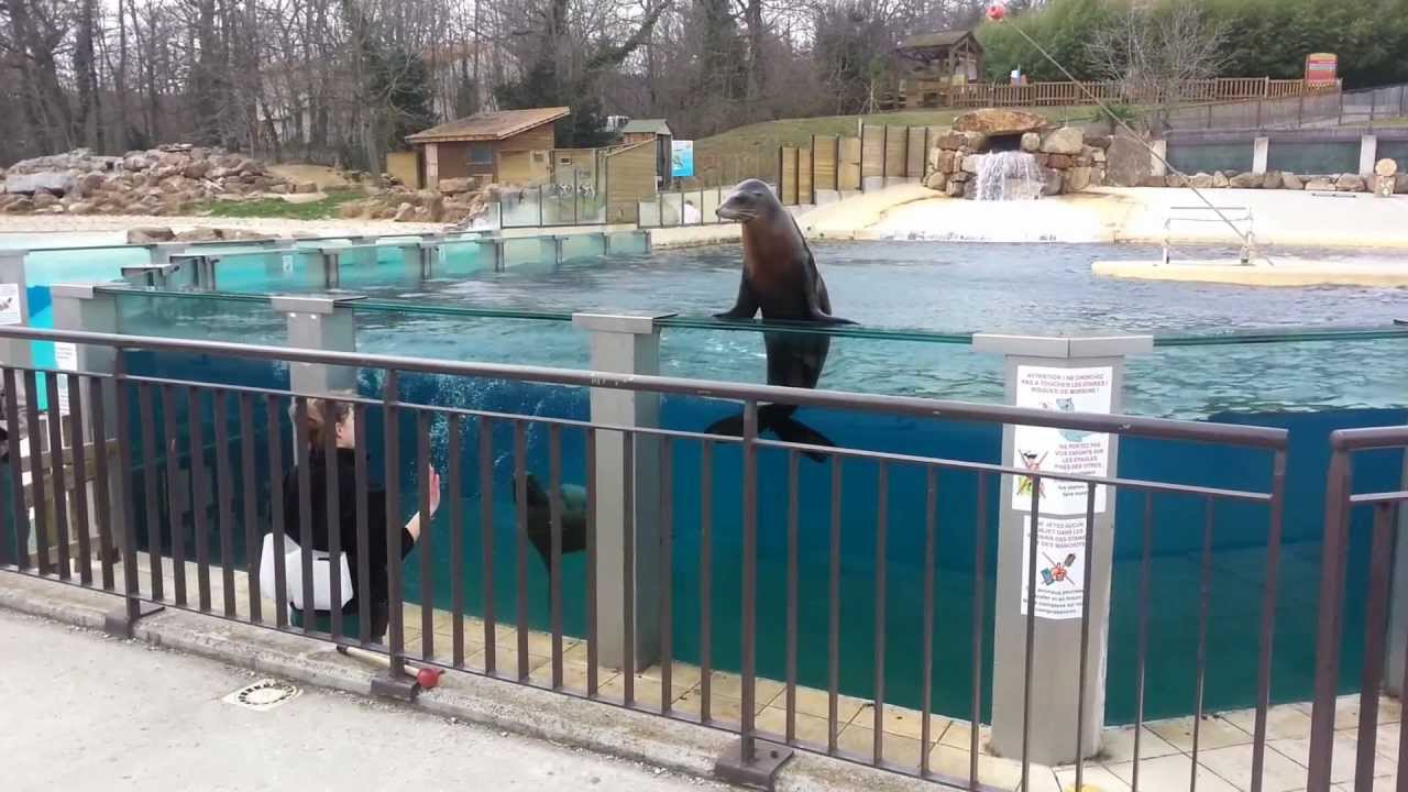 journée safari de peaugres