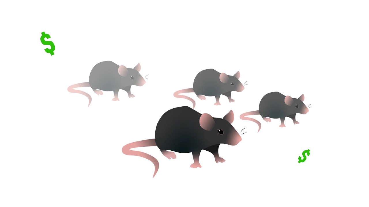 Saving Research  Cryopreservation & Recovery of Important Research Mouse Strains