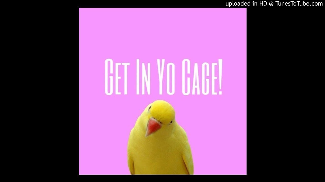 Get In Yo Cage!