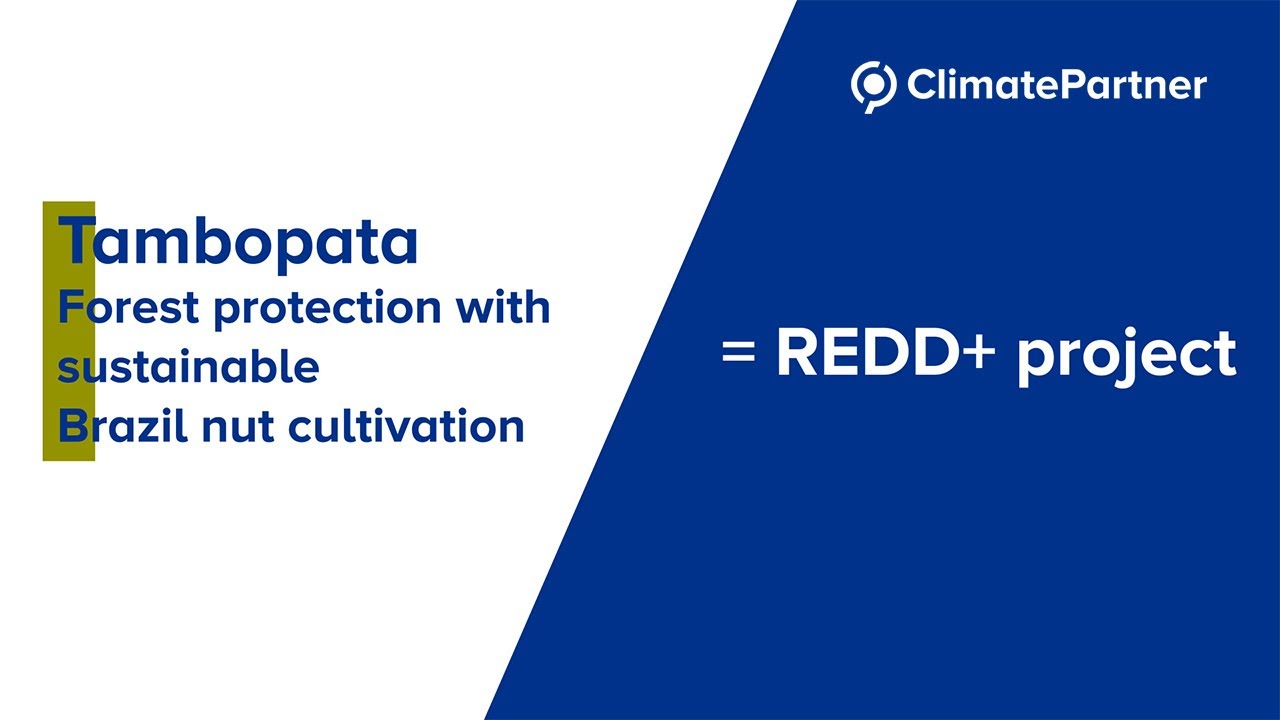 REDD+ climate project: Tambopata in Peru