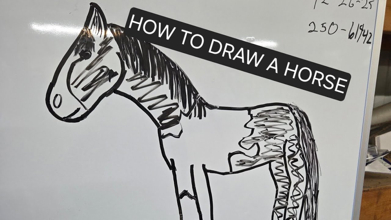 HOW TO DRAW A HORSE