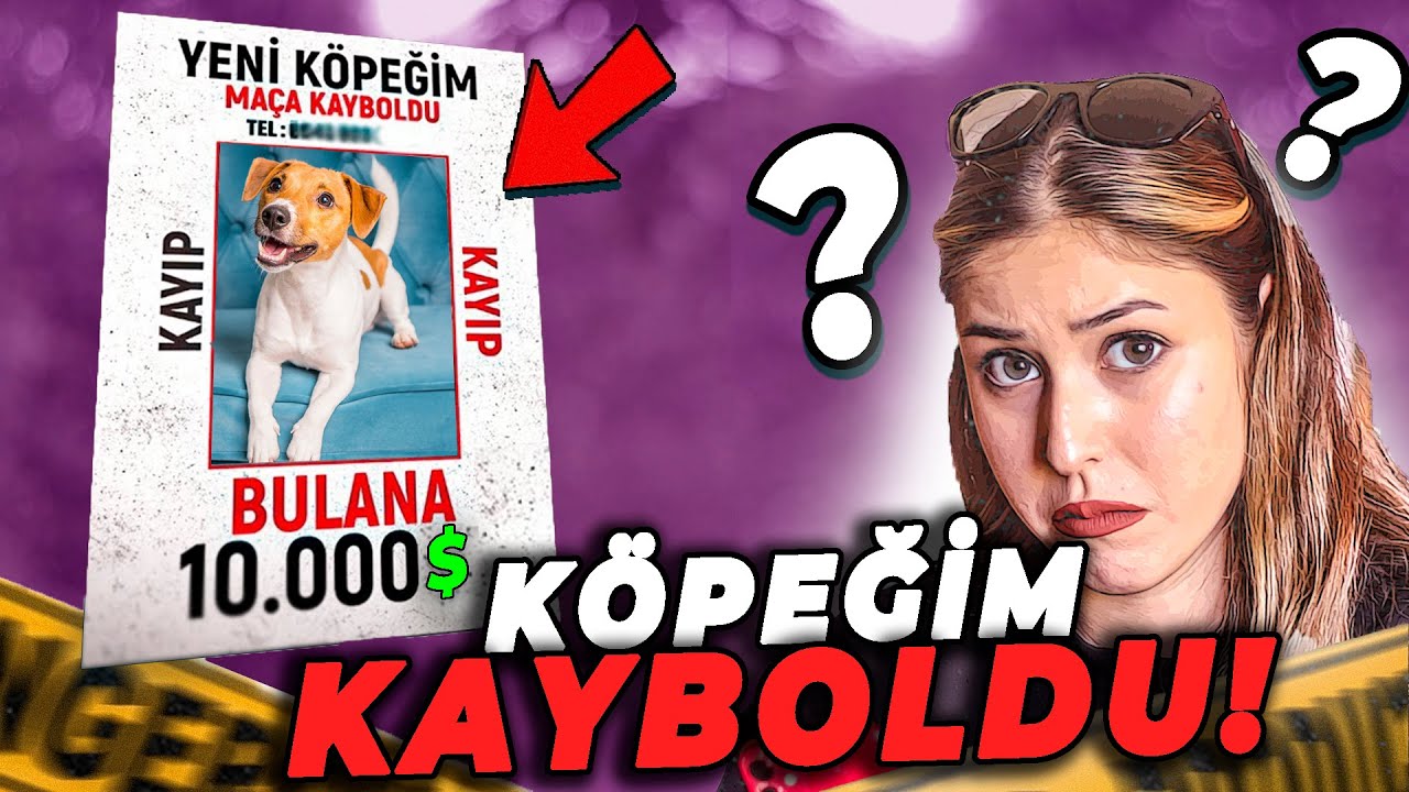 KÖPEĞİM KAYBOLDU ! *Bulana 10.000 $ Ödül