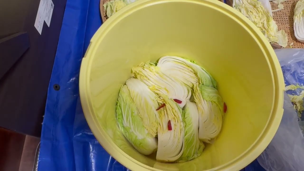 農業戦隊の白菜漬け