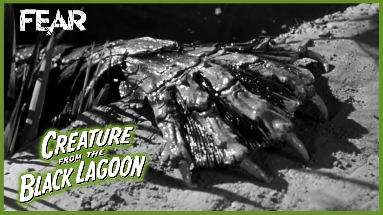 The Creature's Hand (Opening Scene) | Creature From The Black Lagoon (1954)