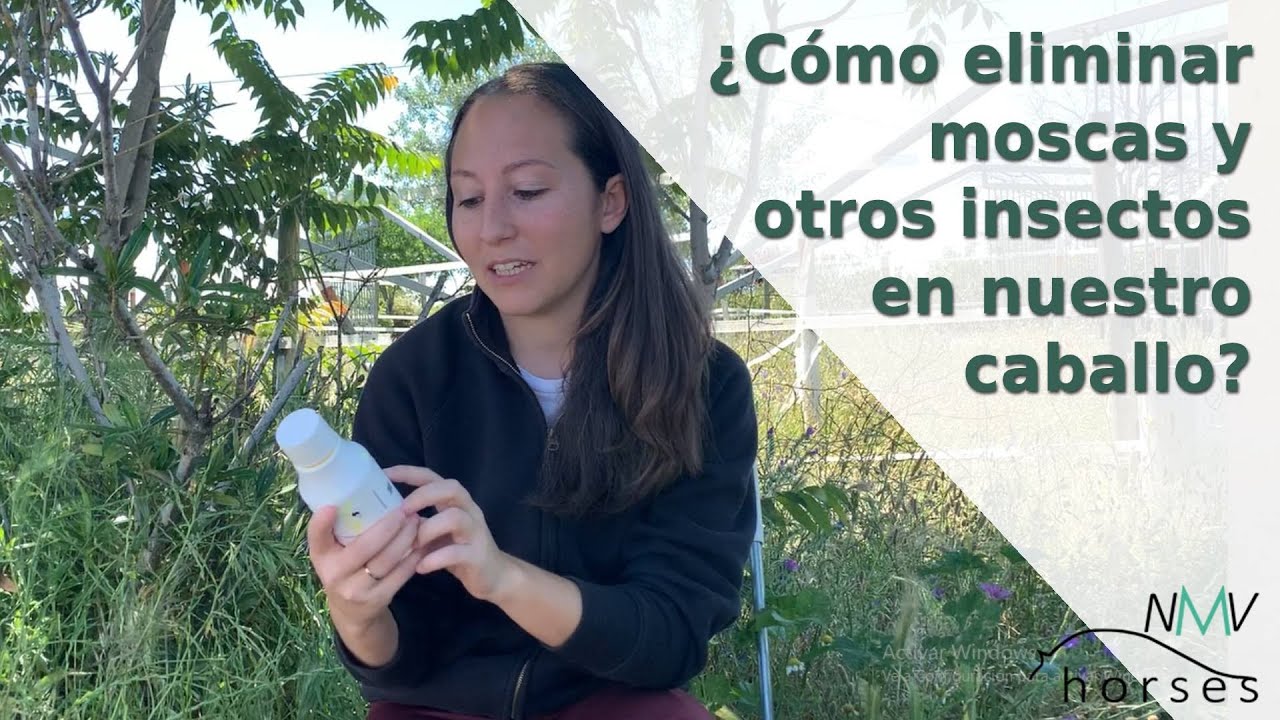 🐴Como evitar las moscas y más insectos en verano en tu caballo🐴 Protege a tu caballo de los bichos🐴