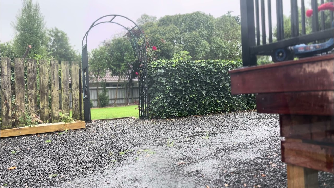 Soothing Rain Sounds - Unedited Nature Audio for Relaxation & Sleep 💤