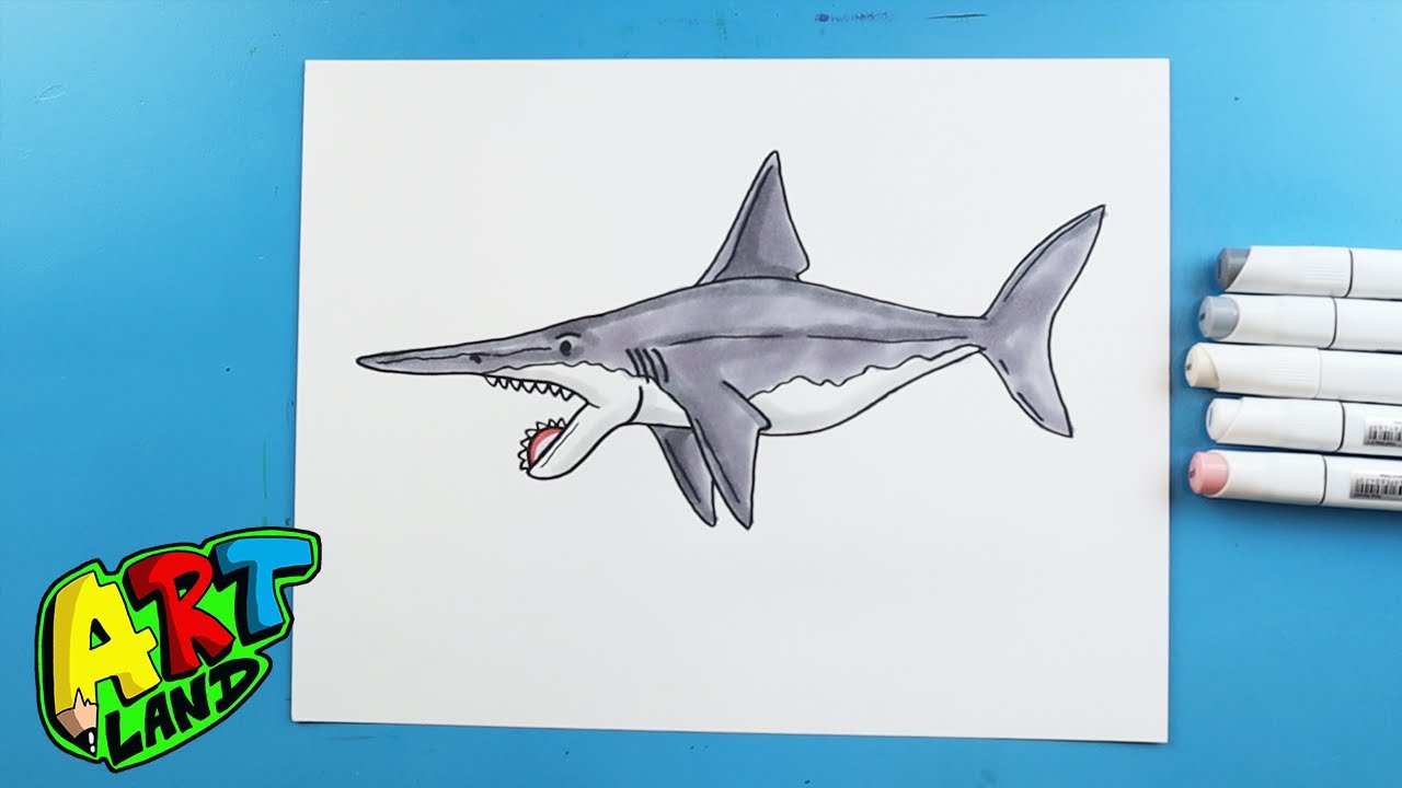 How to Draw a Heliocoprion