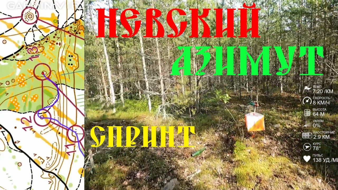 Спортивное ориентирование (headcam orienteering) - Невский Азимут 2025, Лосево, спринт - 12.06.2025