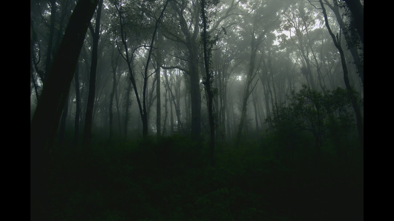 Most beautiful ATMOSPHERIC BLACK METAL 4
