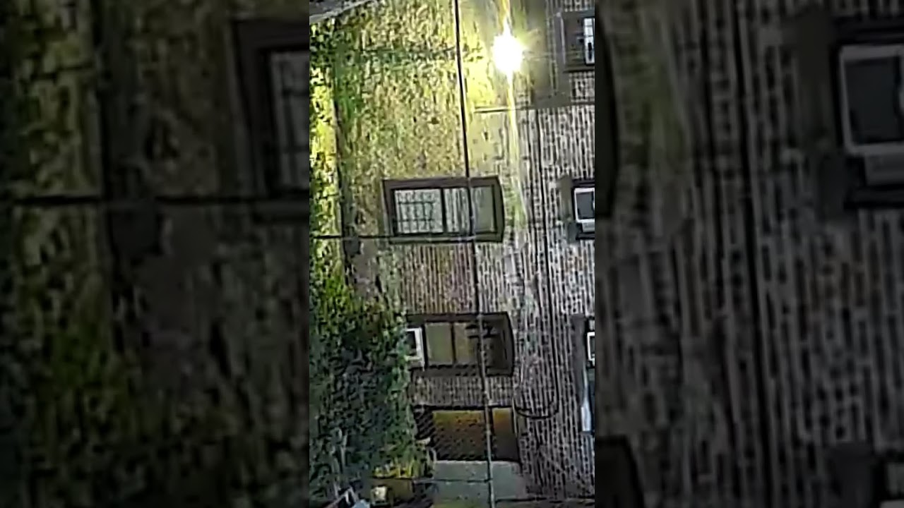 Residents of E. 231 St #BronxNY in True Form | #HarassmentAwareness #RACISMAWARENESS #NYC