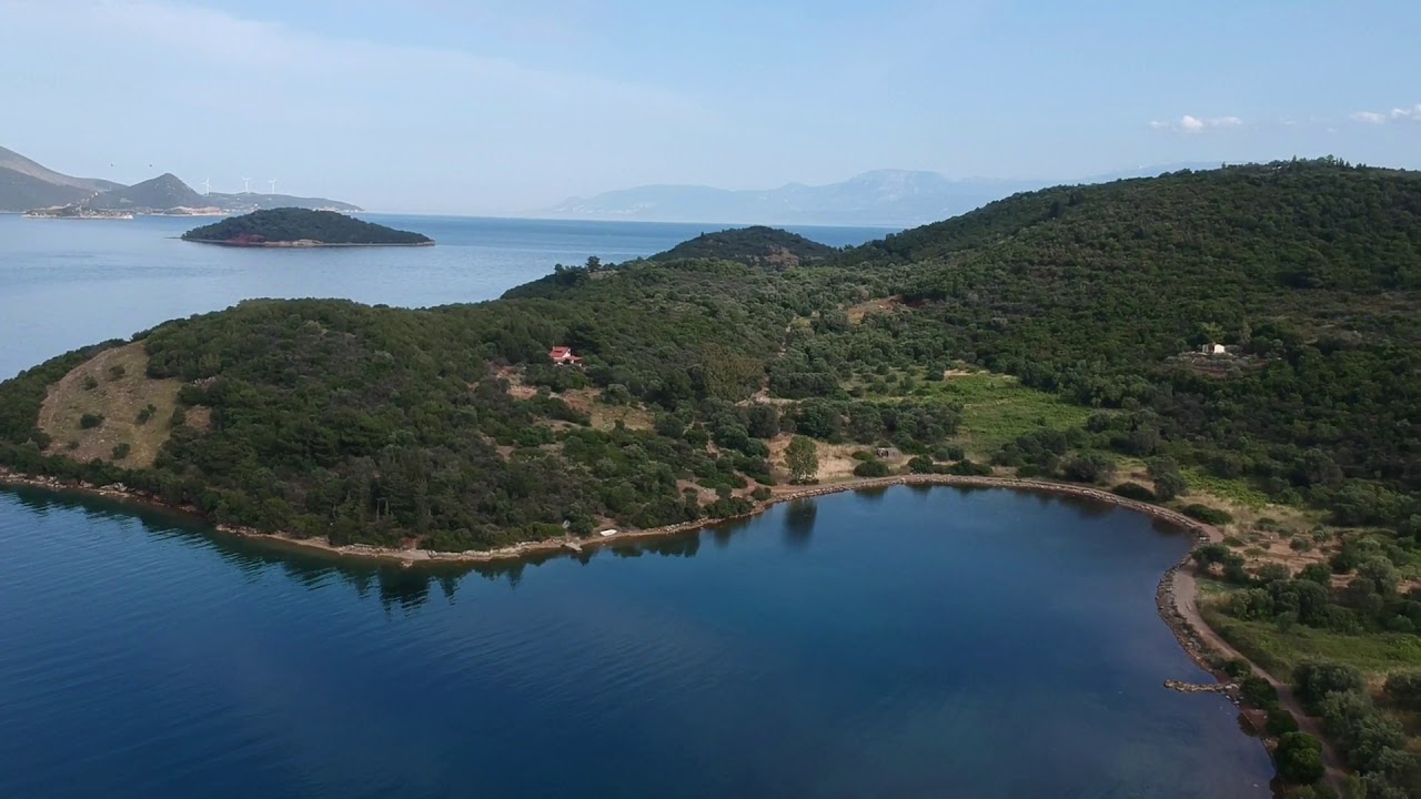 TRIZONIA HD