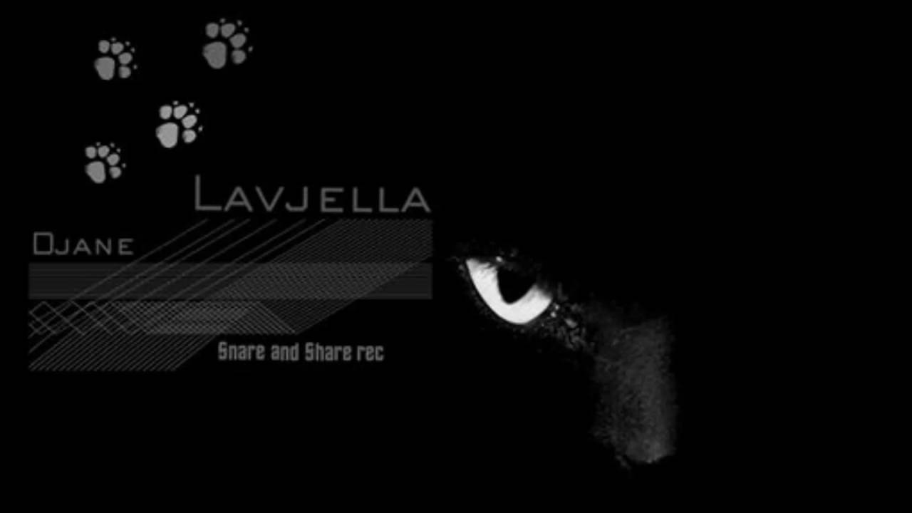 Lavjella Musik Techno DJane