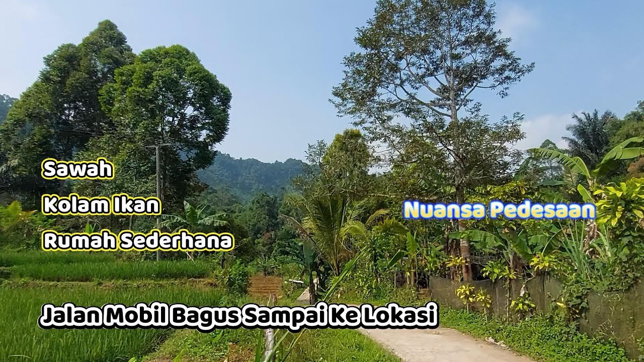 Edun Ini Mah‼️ Satu Hektar Harganya Cuma Segini