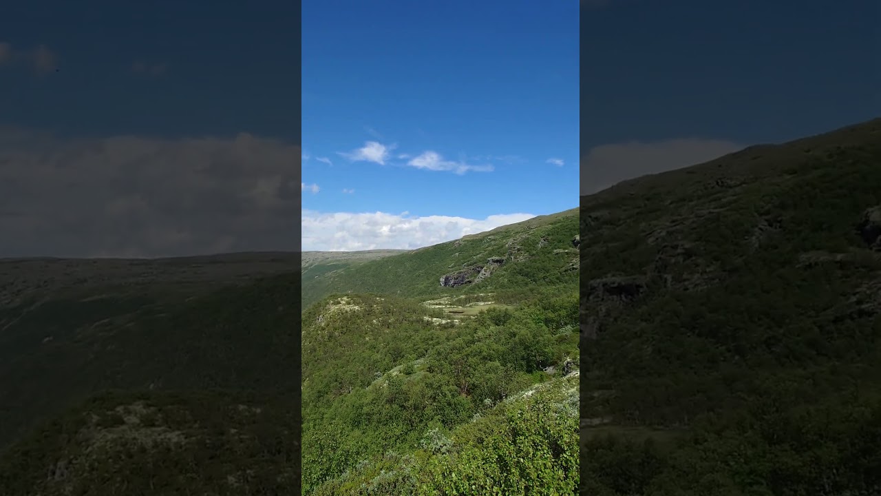 Dovrefjell