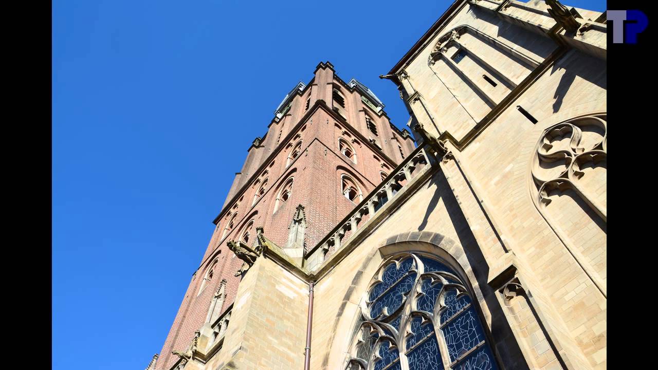 's Hertogenbosch, Sint-Janskathedraal, volgelui