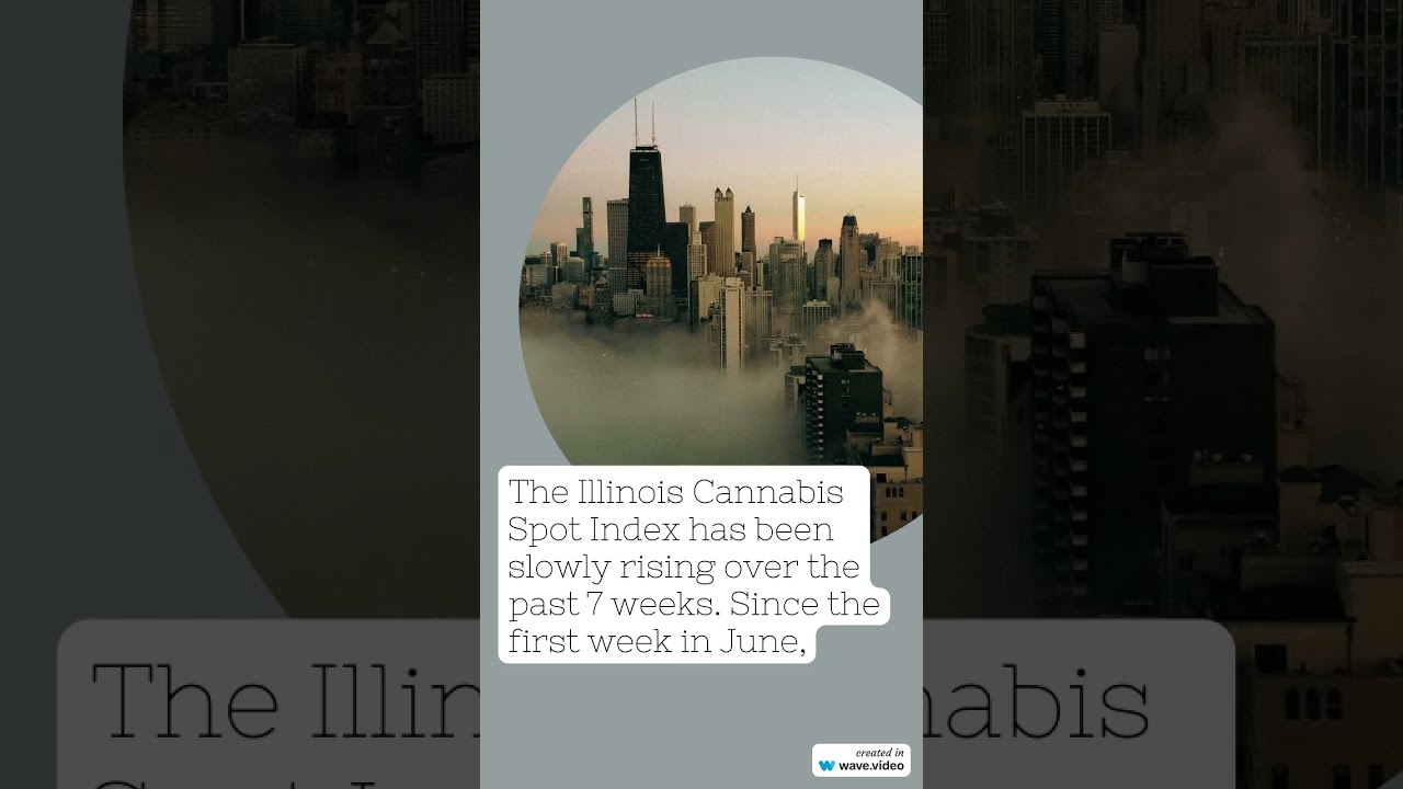 Cannabis Benchmarks US Spot Index Report - August 9, 2024 #cannabisdaily #marijuananews #investing
