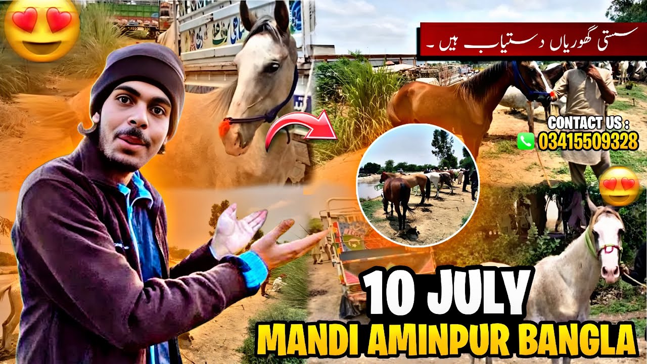 Mandi Aminpur Bangla 10 July New Update ( 🐴❤️)#viralvideo #viral #subscribe #information #youtube 