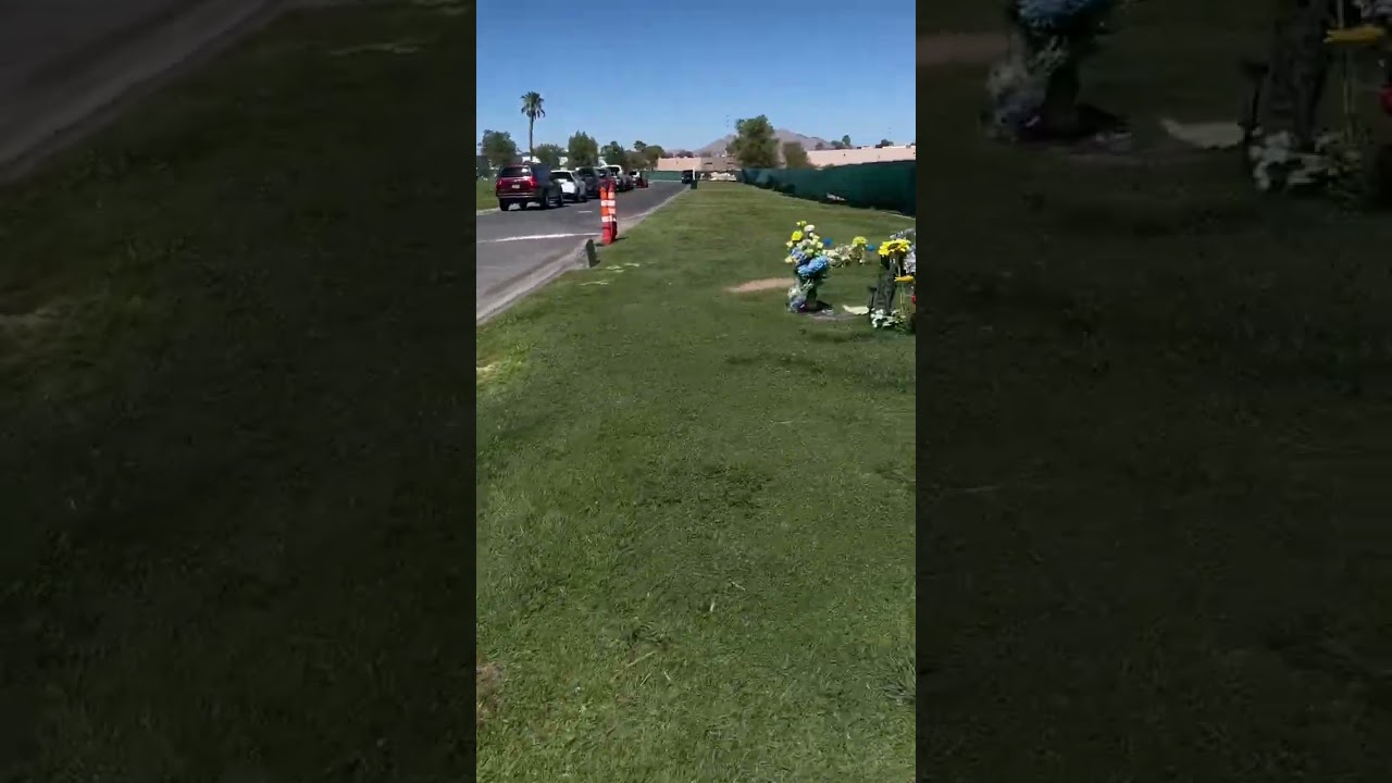 Tesla Can See Ghosts In Graveyard