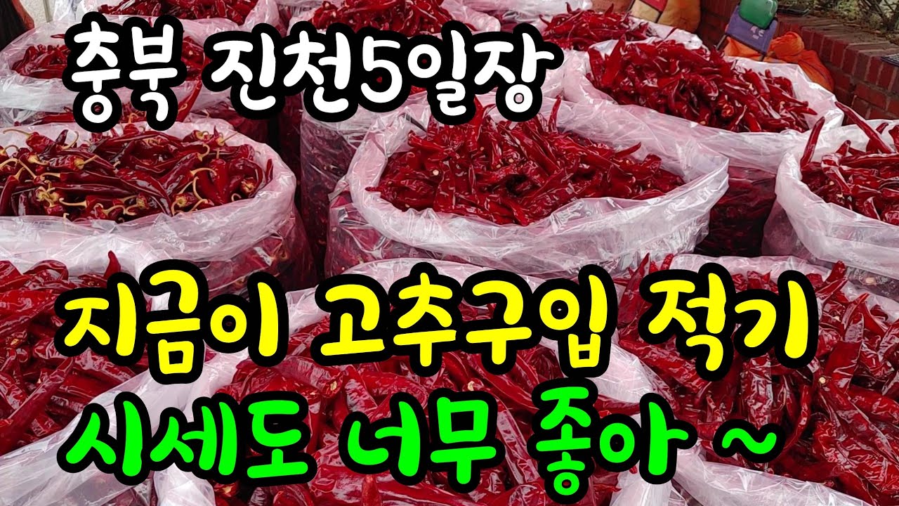 두물 세물 고추가 다 나와 엄청들 구입하시네요 지금이 구입 적기라고 합니다